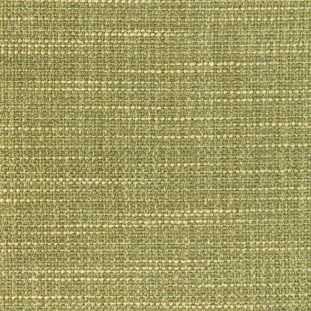 Kravet LUMA TEXTURE CACTUS Fabric