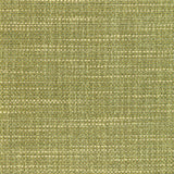 Kravet LUMA TEXTURE CACTUS Fabric