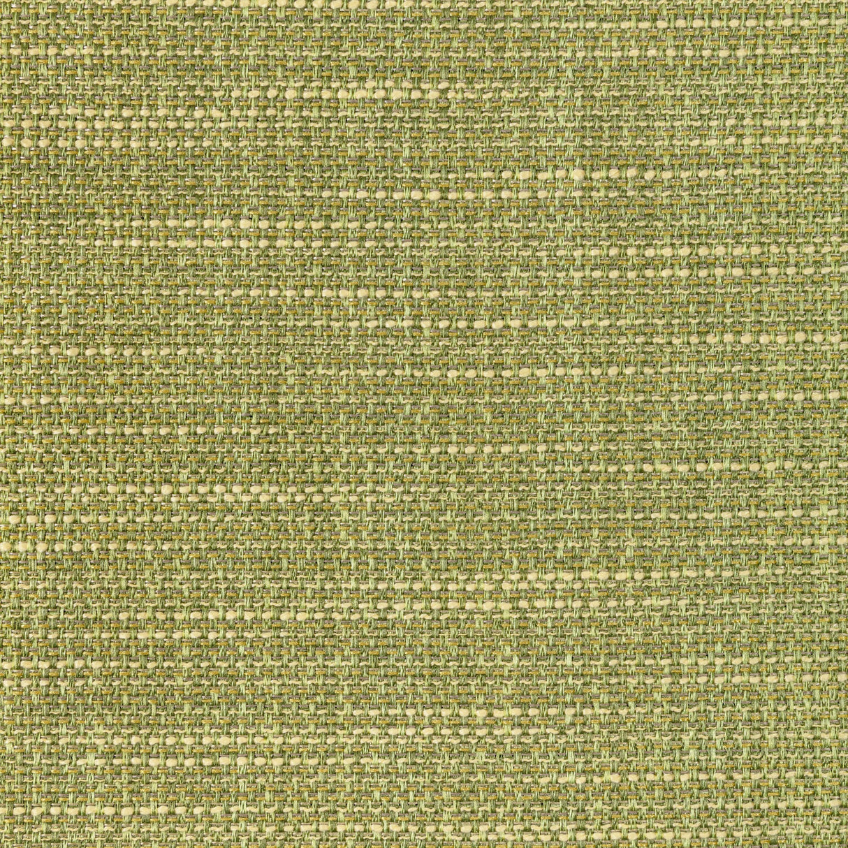 Kravet LUMA TEXTURE CACTUS Drapery Fabric
