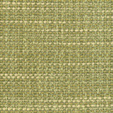 Kravet LUMA TEXTURE CACTUS Drapery Fabric