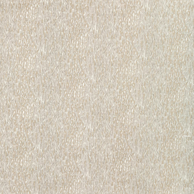 Kravet CHROMIS OYSTER Fabric