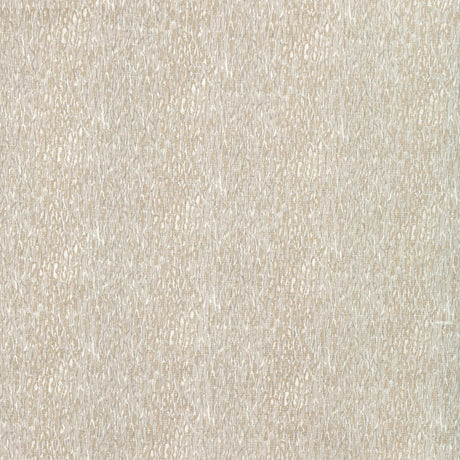 Kravet CHROMIS OYSTER Fabric