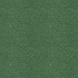 Gaston Y Daniela APACHE VERDE Upholstery Fabric