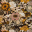 Lee Jofa ARIOSO PRINT PETAL/COIN Fabric
