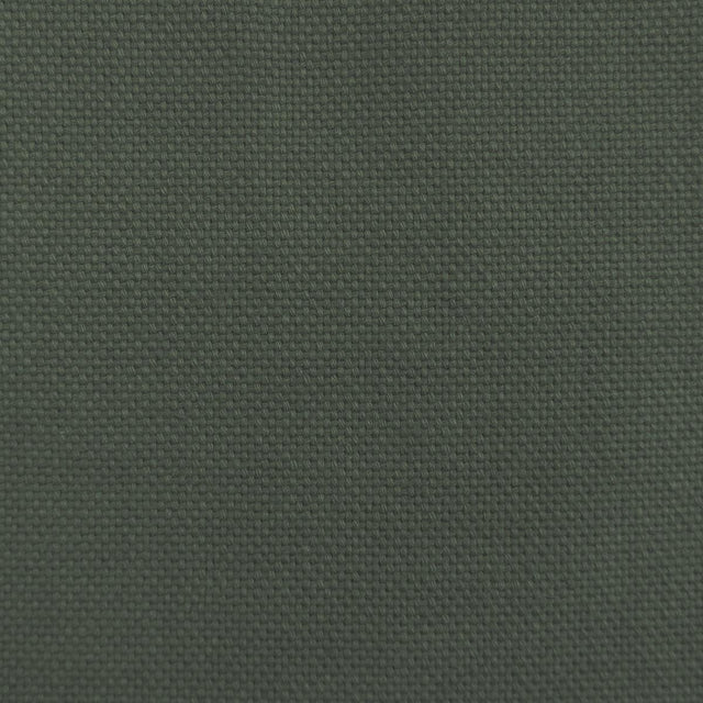 Gaston Y Daniela DOBRA MENTA Upholstery Fabric