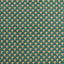 Gaston Y Daniela RAPOSU VERDE Upholstery Fabric