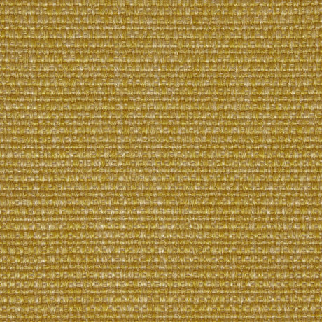 Lizzo CAMELIA 05 Upholstery Fabric