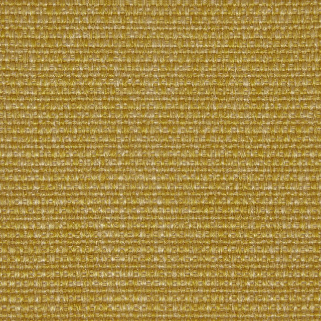 Lizzo CAMELIA 05 Upholstery Fabric