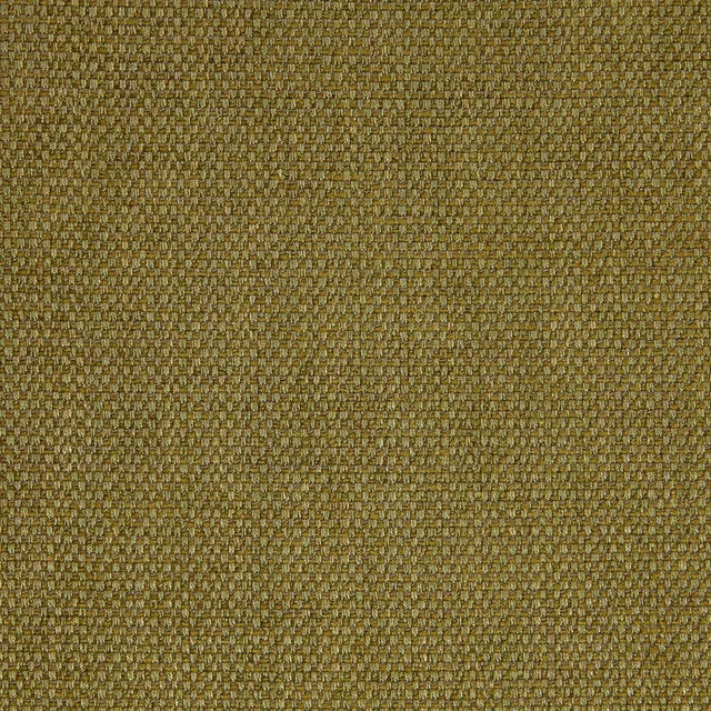Lizzo GODAI 23 Upholstery Fabric