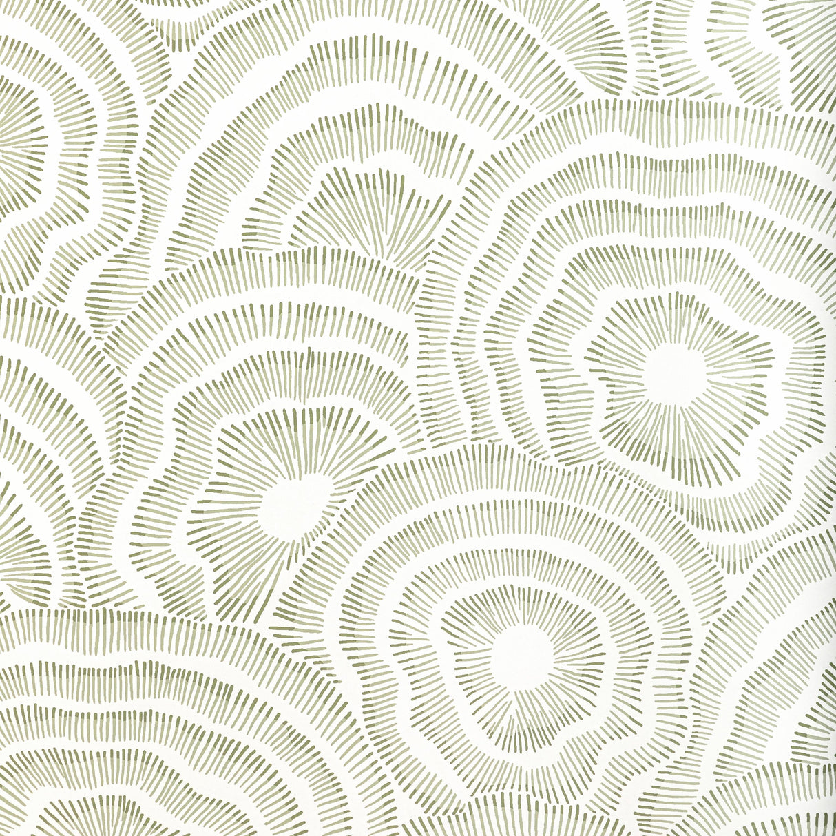 Kravet PANACHE WP LEAF Wallpaper