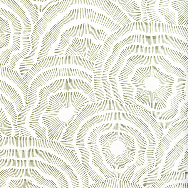 Kravet PANACHE WP LEAF Wallpaper