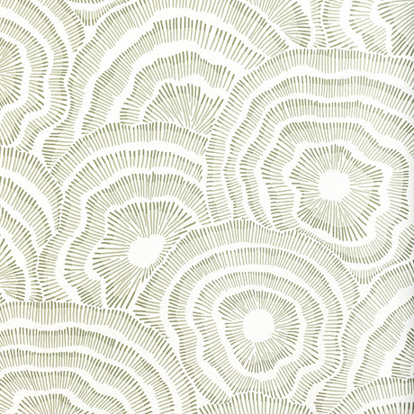 Kravet PANACHE WP LEAF Wallpaper