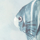 Kravet GREAT REEF WP SURF Wallpaper