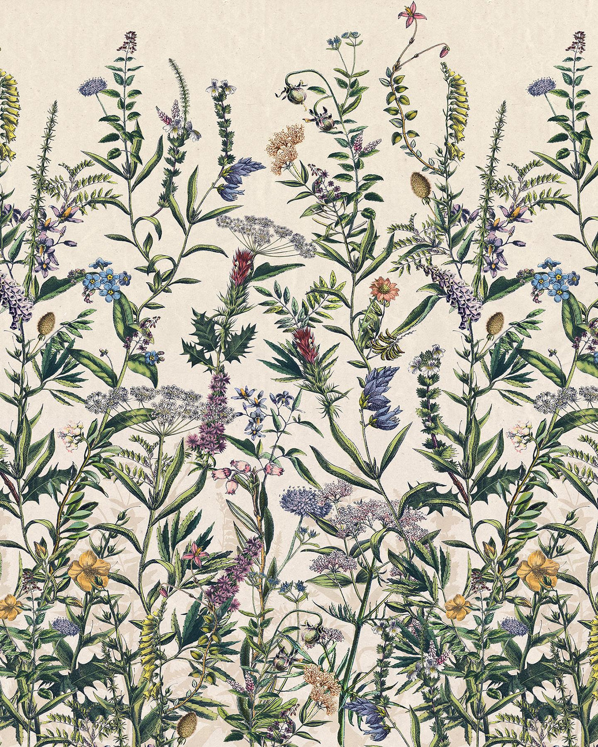 Brewster Home Fashions Flowering Herbs Wall Mural Greens Wallpaper