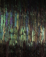 Brewster Home Fashions Dark Wings Wall Mural