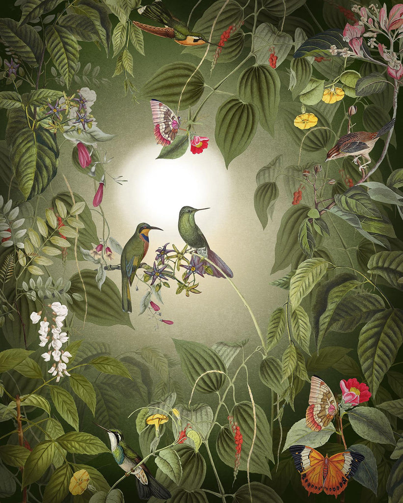 Brewster Home Fashions Wildlife Birds Wall Mural Greens Wallpaper