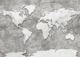 Brewster Home Fashions World Relief Wall Mural Greys Wallpaper