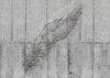 Brewster Home Fashions Concrete Feather Wall Mural