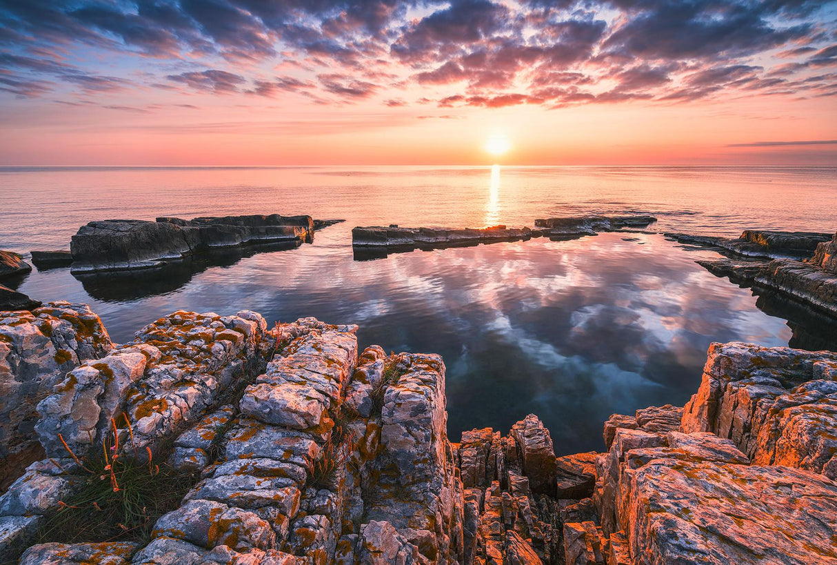 Brewster Home Fashions Mirrored Coast Wall Mural Multicolor Wallpaper