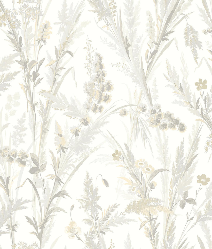 Brewster Home Fashions Hillaire Wheat Meadow Wallpaper