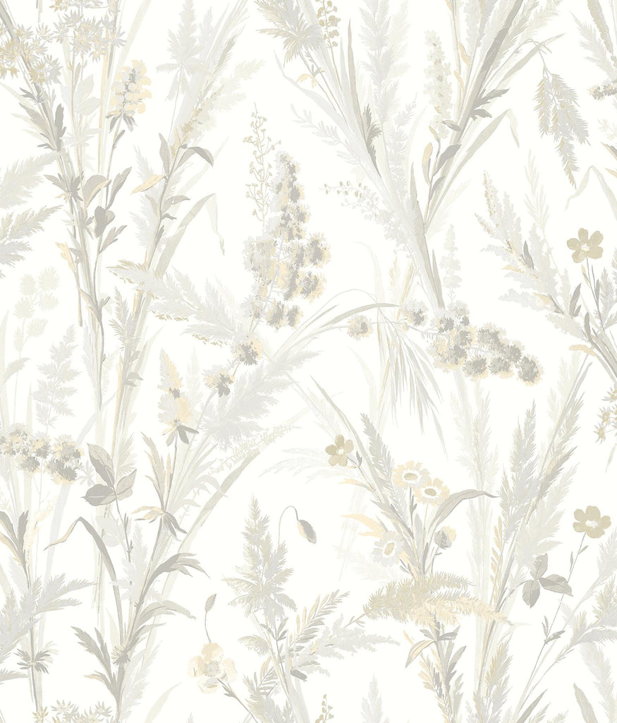 Brewster Home Fashions Hillaire Meadow Wheat Wallpaper
