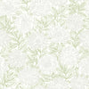 Brewster Home Fashions Faustin Green Floral Wallpaper