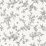 Brewster Home Fashions Nightingale Charcoal Floral Trail Wallpaper