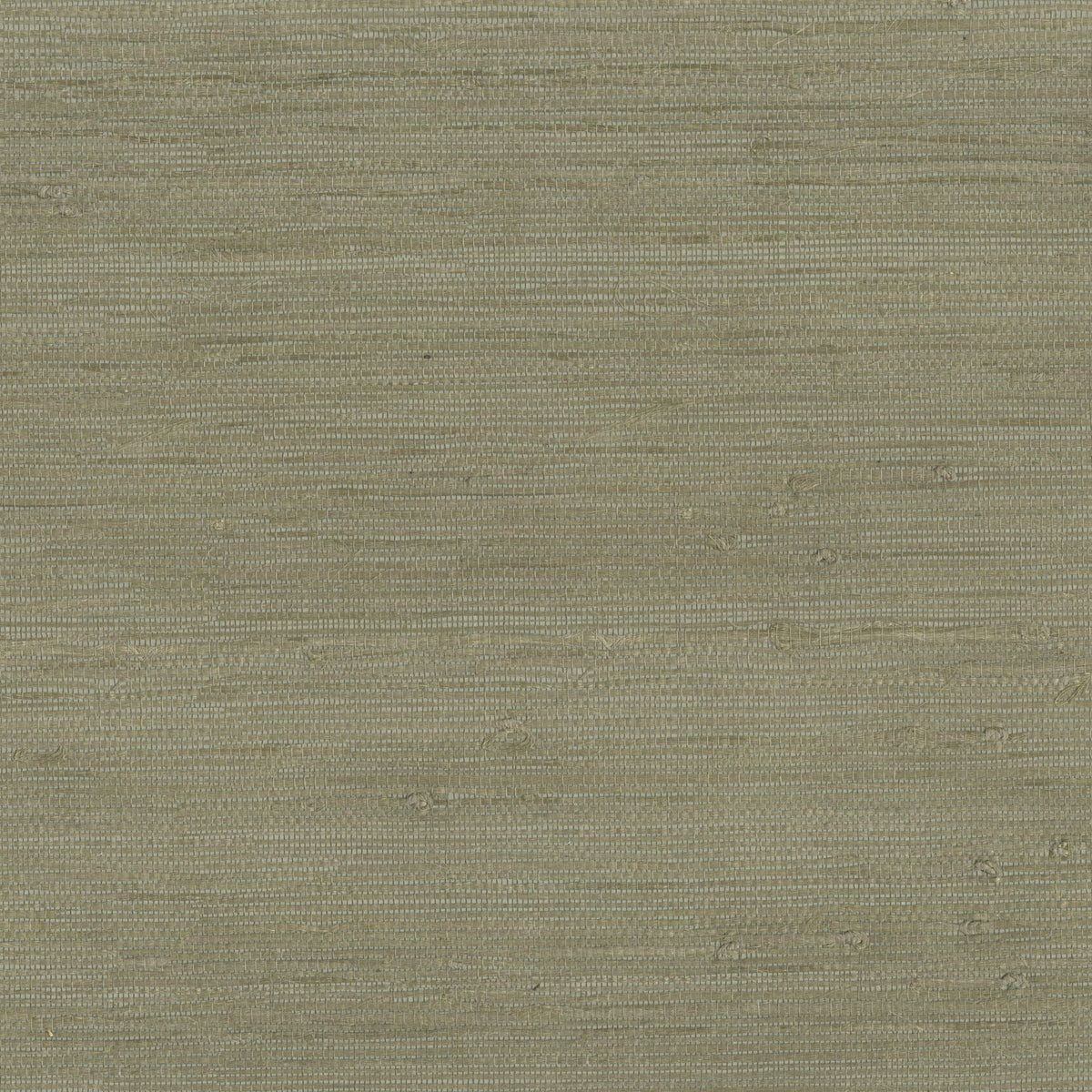 JF Fabrics 9025 Green (75) Wallpaper