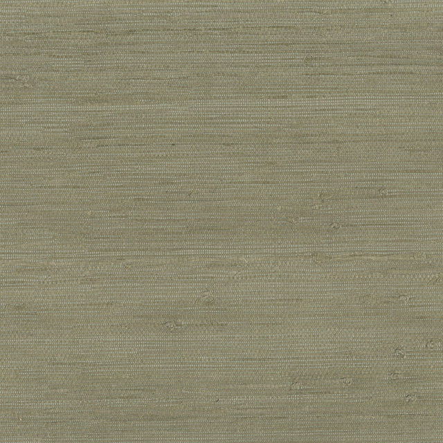 JF Fabrics 9025 Green (75) Wallpaper