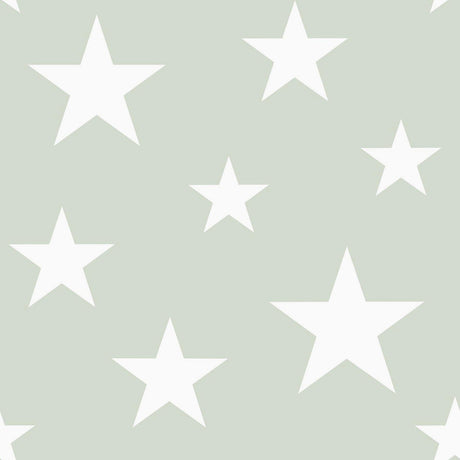 Brewster Home Fashions Amira Sage Stars Wallpaper
