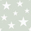 Brewster Home Fashions Amira Sage Stars Wallpaper