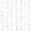 Brewster Home Fashions Birdie Grey Birch Wallpaper