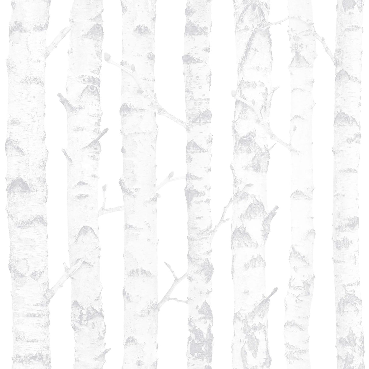 Brewster Home Fashions Birdie Birch Grey Wallpaper