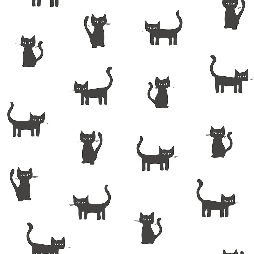 Brewster Home Fashions Delia Black Kitty Wallpaper
