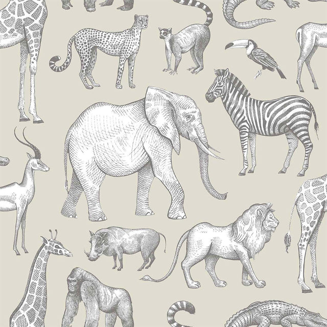Brewster Home Fashions Kenji Taupe Safari Wallpaper