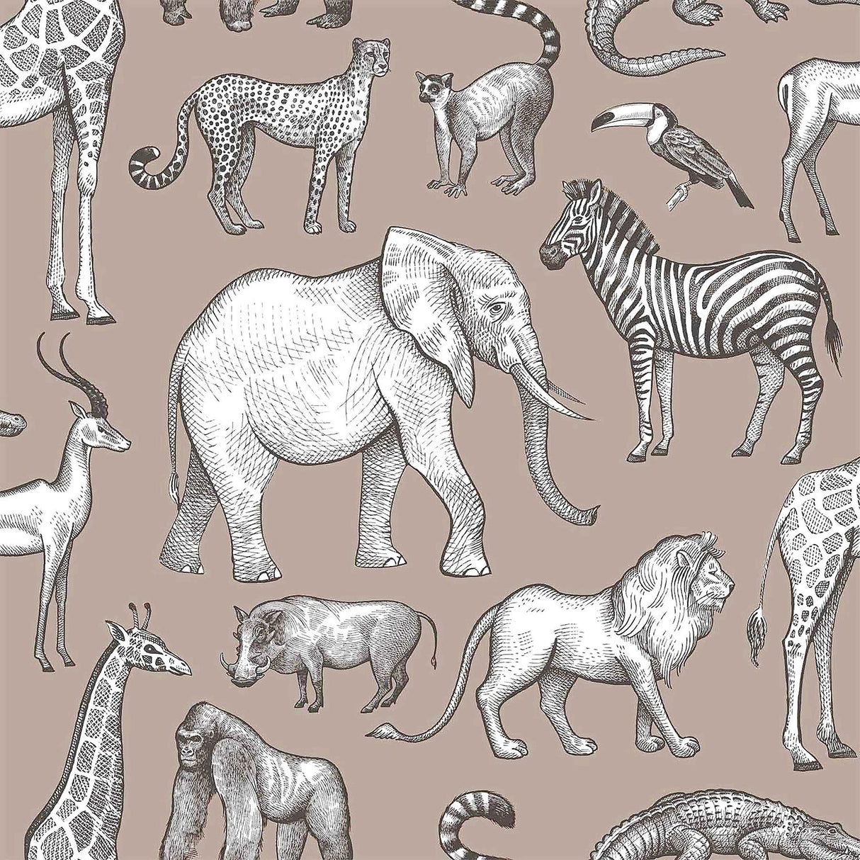Brewster Home Fashions Kenji Light Brown Safari Wallpaper