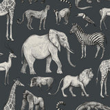 Brewster Home Fashions Kenji Navy Safari Wallpaper