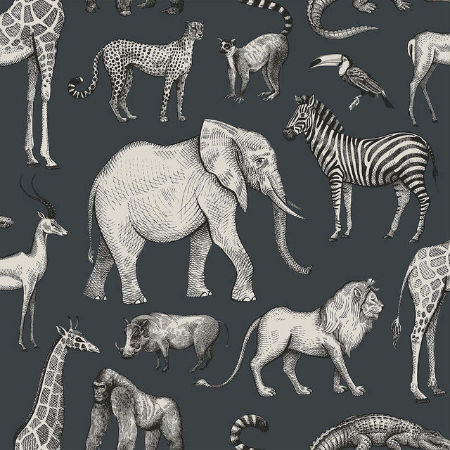 Brewster Home Fashions Kenji Navy Safari Wallpaper