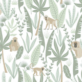 Brewster Home Fashions Kiki Monkeys Light Green Wallpaper