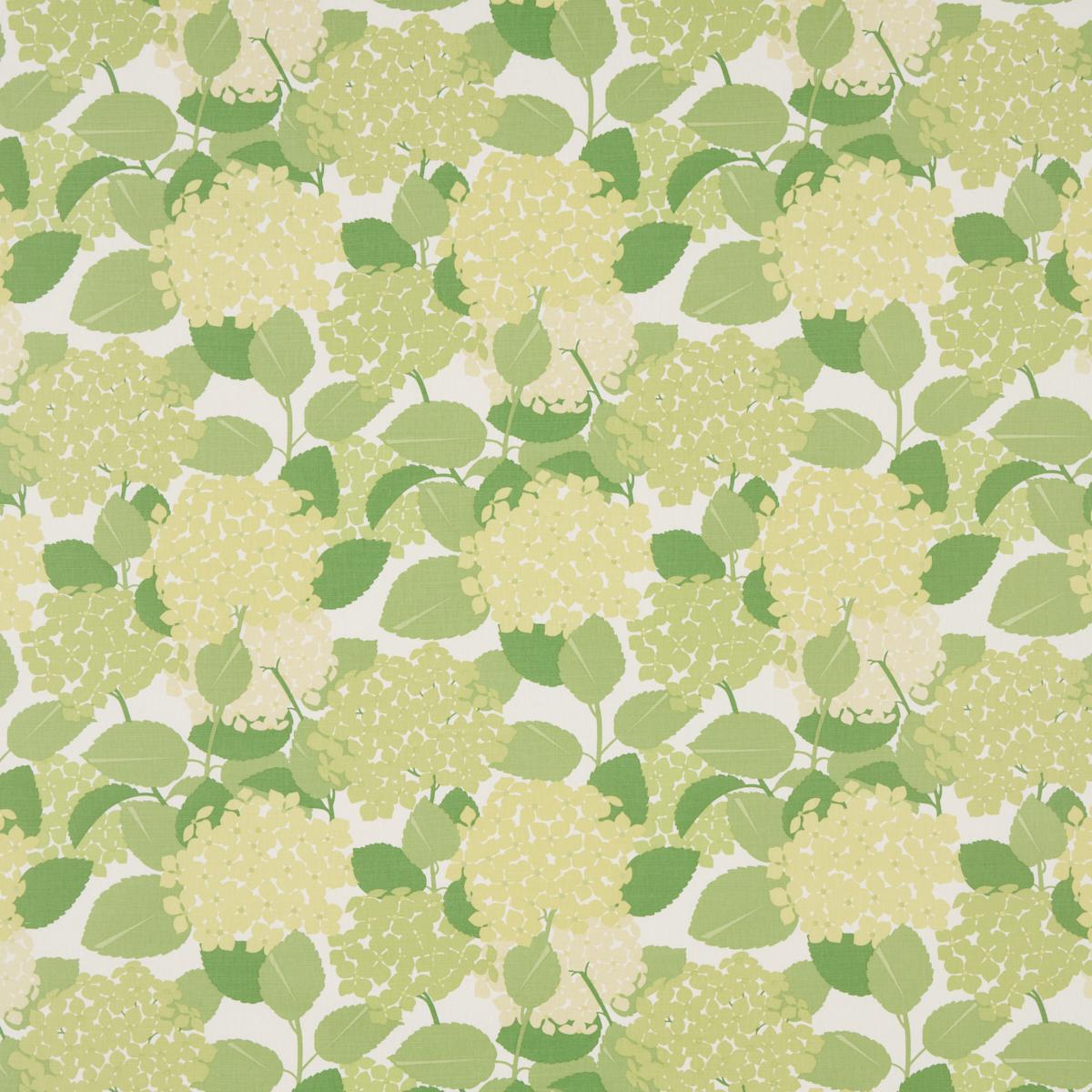 Schumacher Hydrangea Green Fabric
