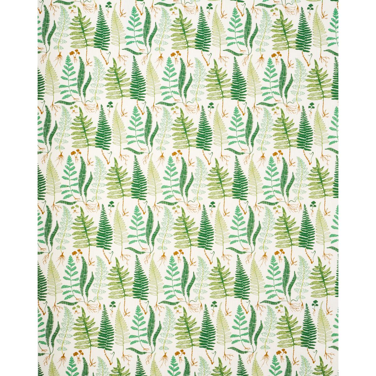 Schumacher Halcott Indoor/Outdoor Green Fabric