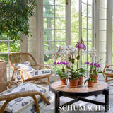 Schumacher Orchids Have Dreams Soft Black Fabric