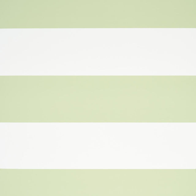 Schumacher Baxter Stripe Green Wallpaper