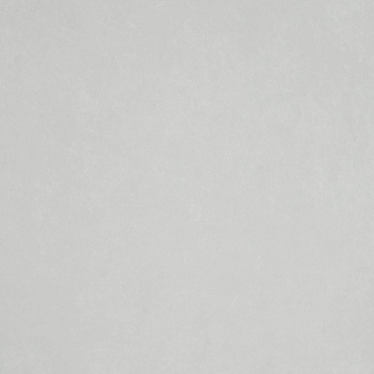 Schumacher Villa Texture Grey Wallpaper