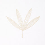 Schumacher Rue Sand Wallpaper