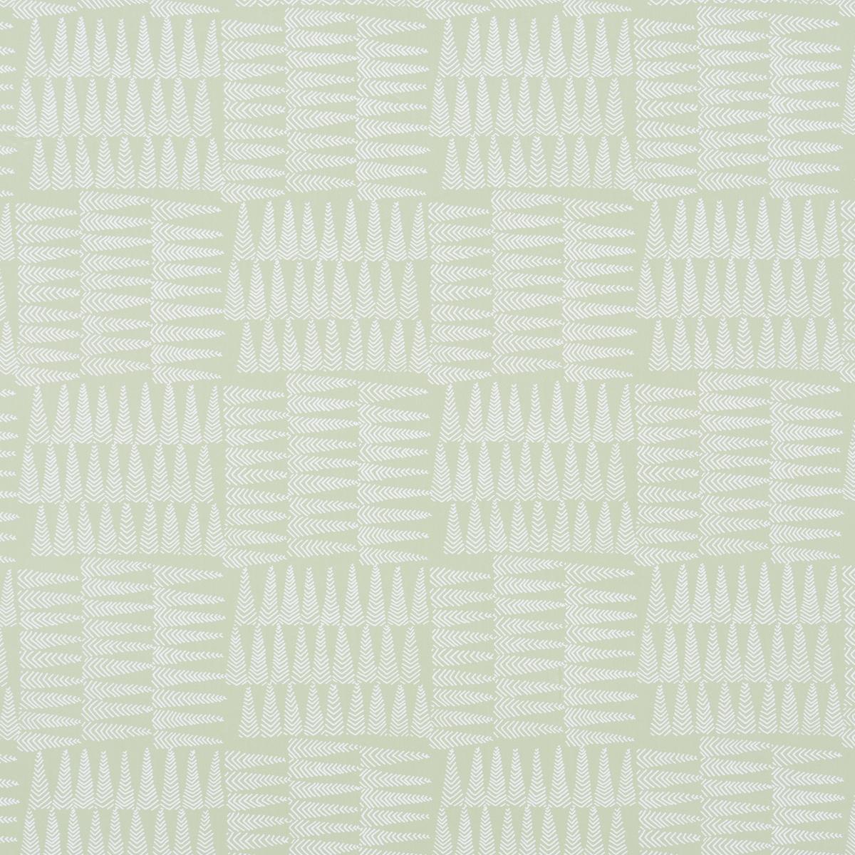 Schumacher Charlie Green Wallpaper