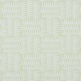 Schumacher Charlie Green Wallpaper