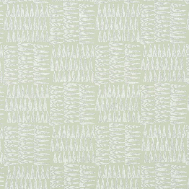 Schumacher Charlie Green Wallpaper