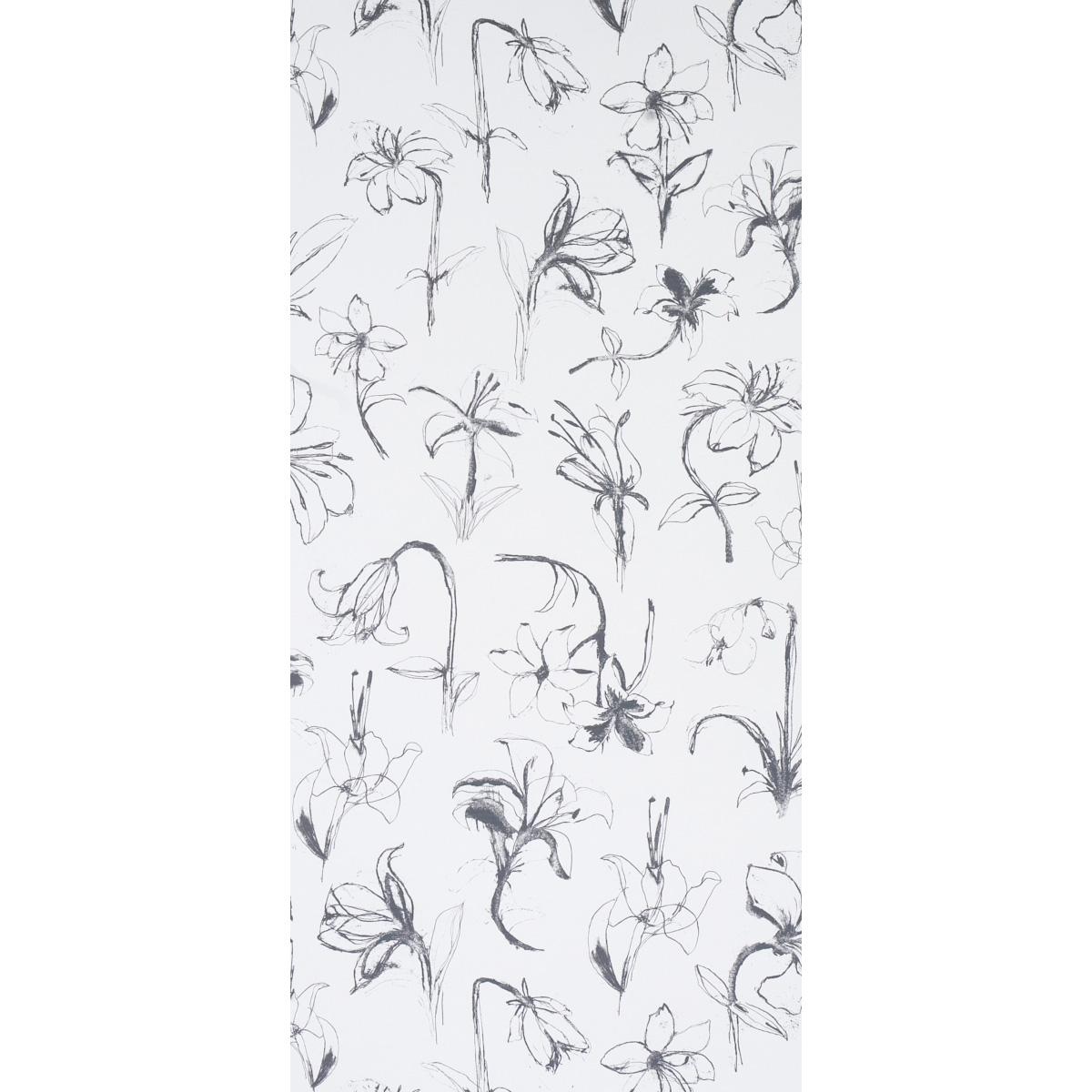 Schumacher Close Your Eyes And Remember Soft Black Wallpaper