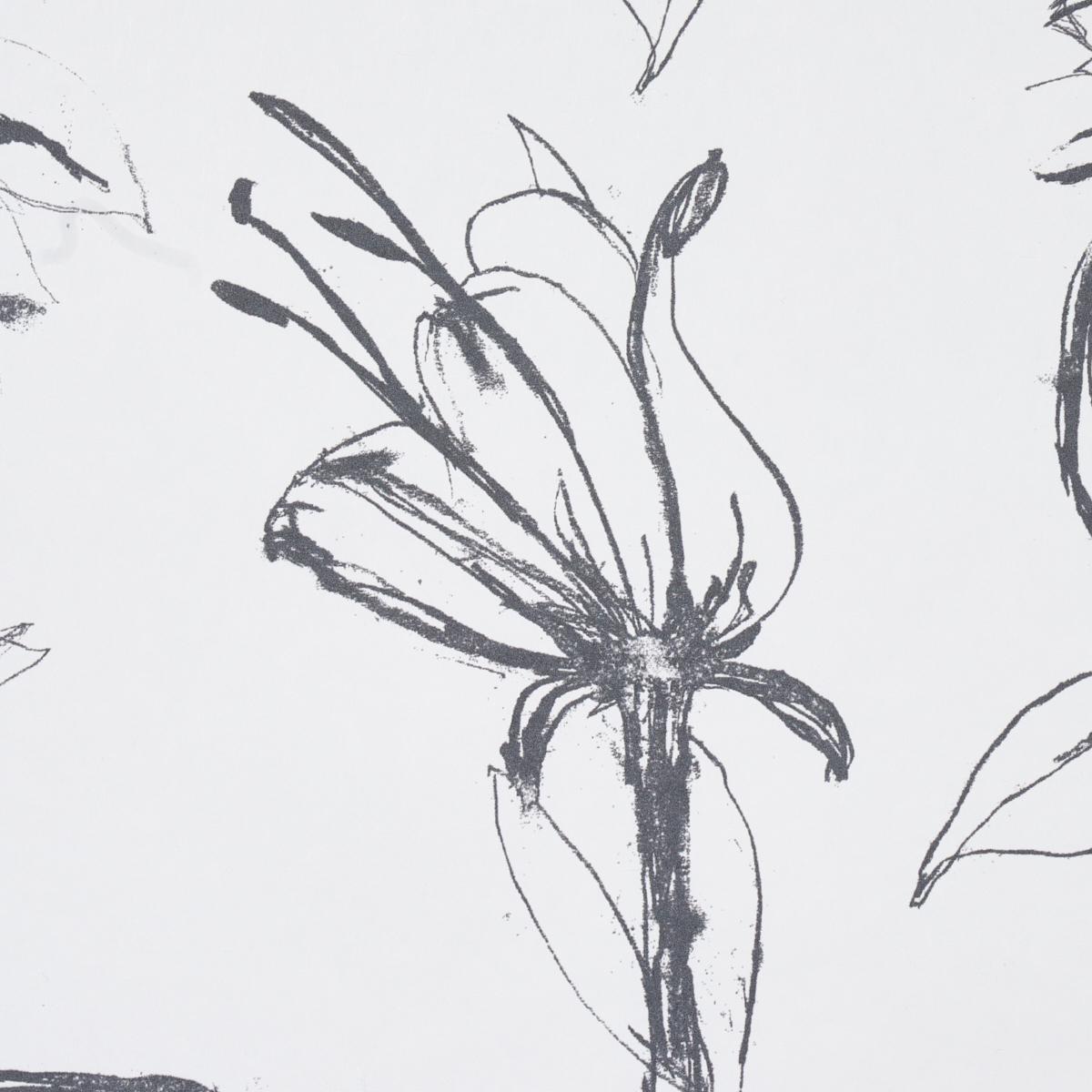 Schumacher Close Your Eyes And Remember Soft Black Wallpaper